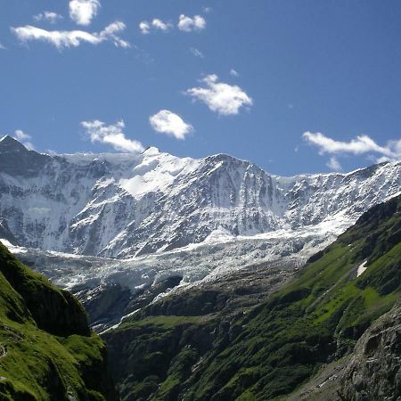 Chalet Verbrunnenhaus Grindelwald Lejlighed Eksteriør billede