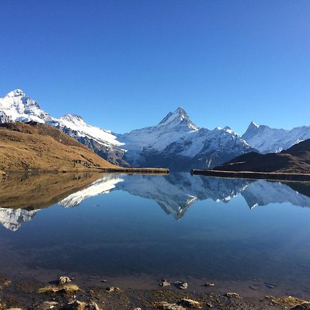 Chalet Verbrunnenhaus Grindelwald Lejlighed Eksteriør billede