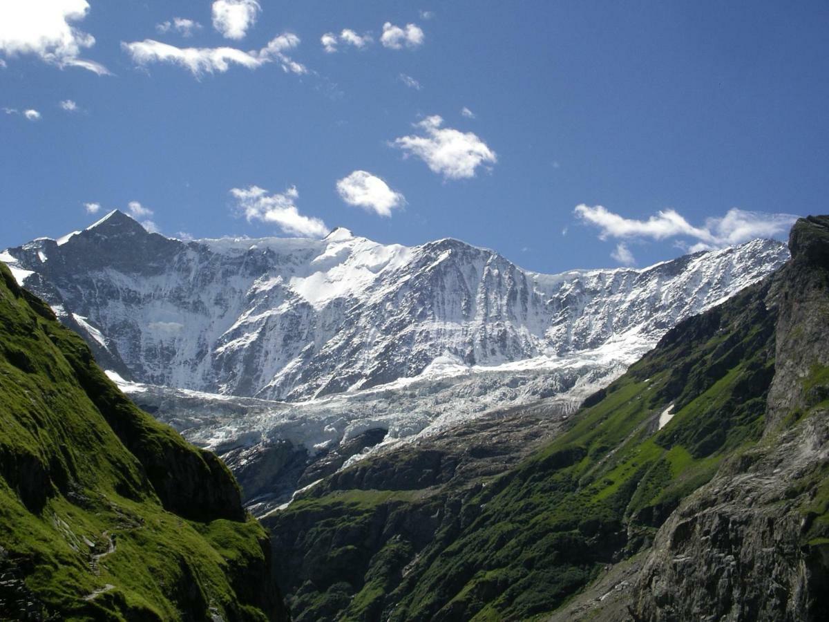 Chalet Verbrunnenhaus Grindelwald Lejlighed Eksteriør billede