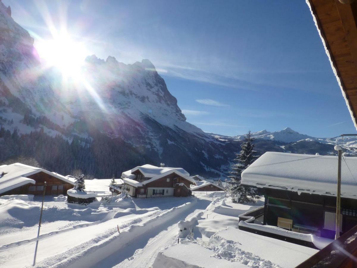 Chalet Verbrunnenhaus Grindelwald Lejlighed Eksteriør billede