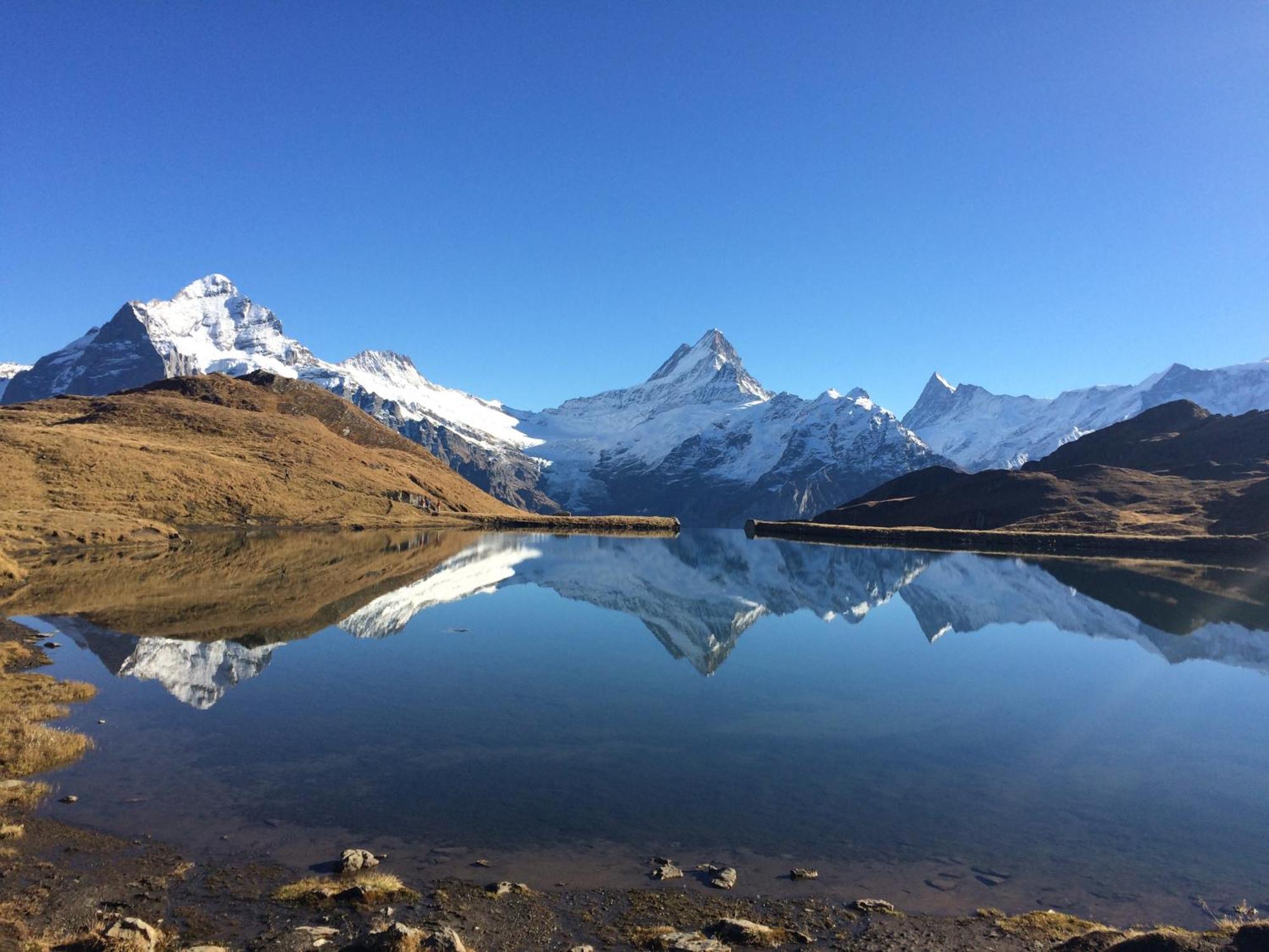 Chalet Verbrunnenhaus Grindelwald Lejlighed Eksteriør billede