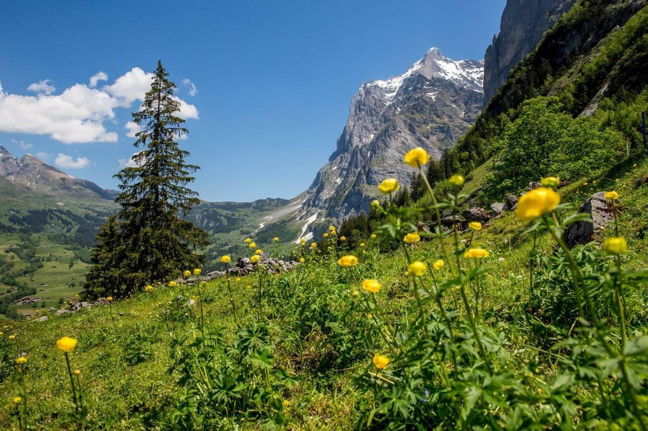 Chalet Verbrunnenhaus Grindelwald Lejlighed Eksteriør billede