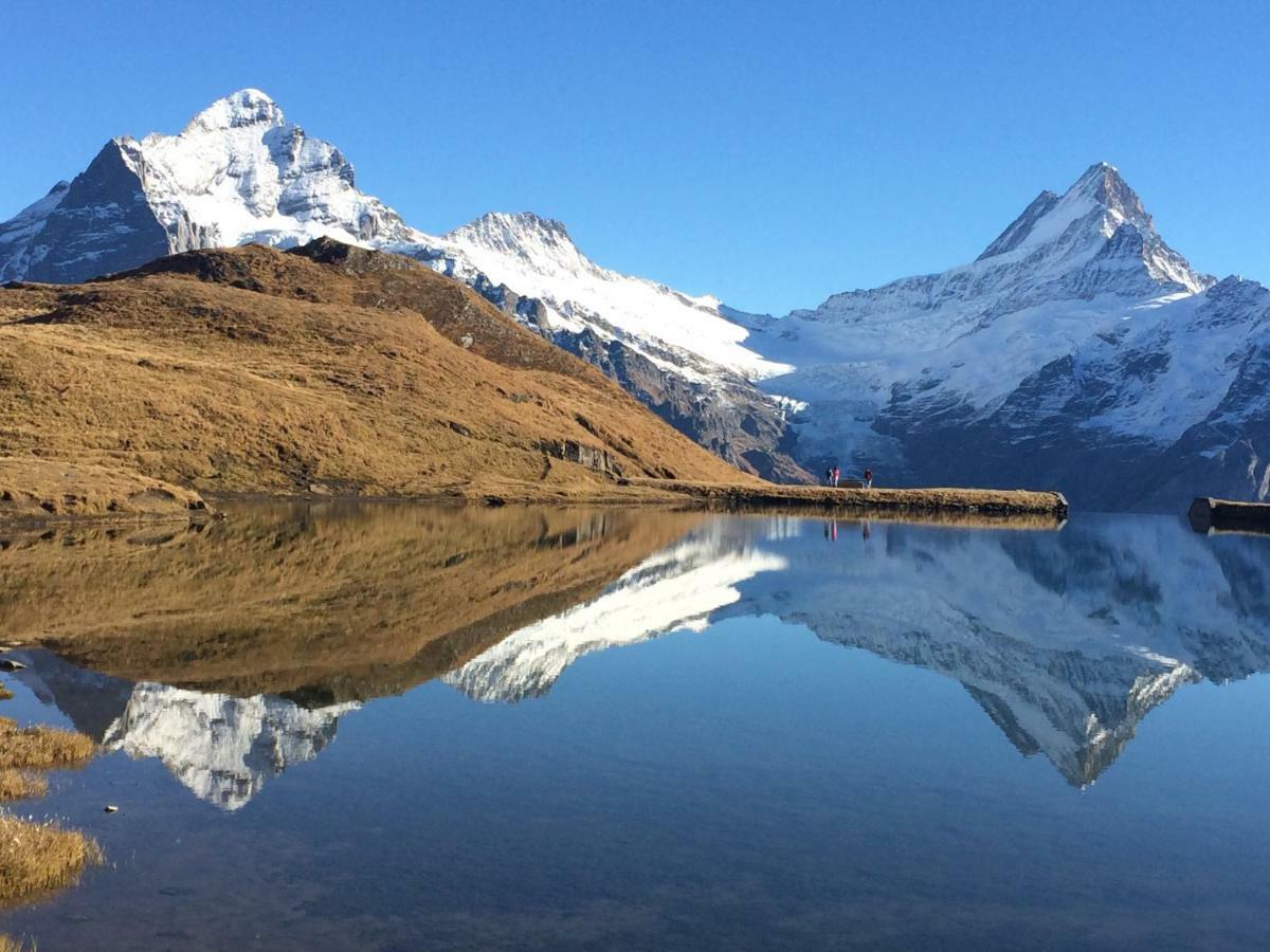 Chalet Verbrunnenhaus Grindelwald Lejlighed Eksteriør billede